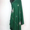 Gulrukh Kashmiri Shawl with Green Cashmilon and Hand Sozni Embroidery