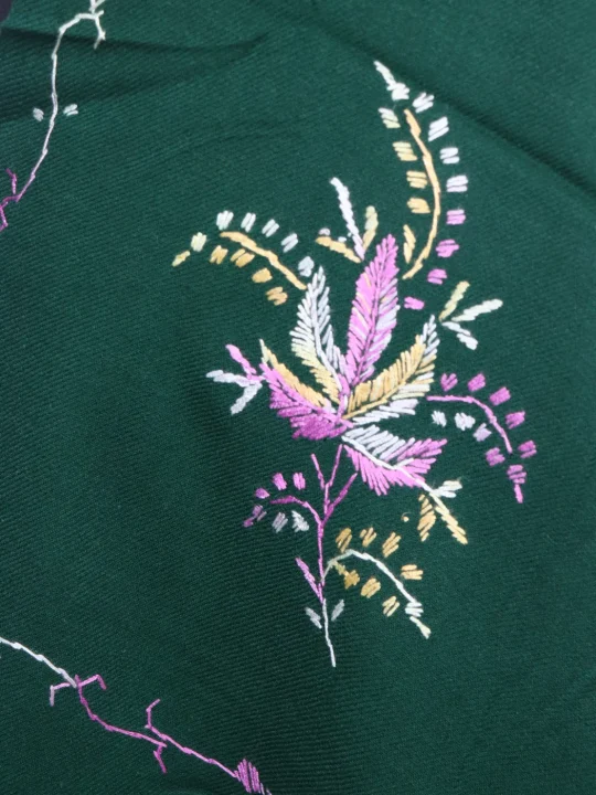 Gulrukh Kashmiri Shawl with Green Cashmilon and Hand Sozni Embroidery - Image 3