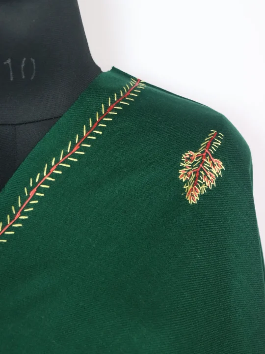 Nawal Kashmiri Shawl with Hand Sozni Embroidery In Green Cashmilon - Image 3